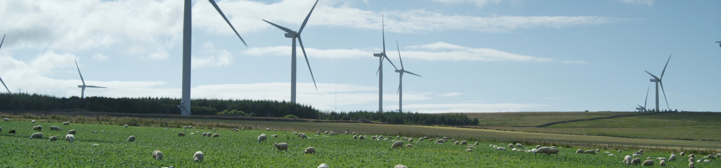 Baillie wind farm